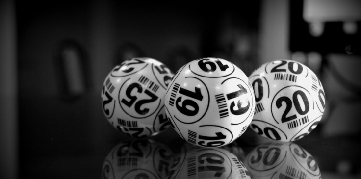 Bingo's Ball