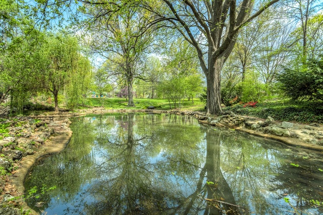 pond
